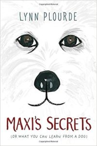 Maxis的秘密