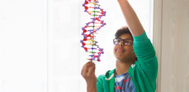 学生观察DNA